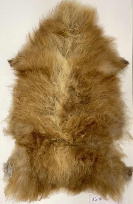 Hovedbilde Lammeskinn 2310